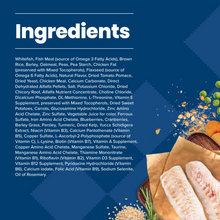 Load image into Gallery viewer, Blue Buffalo Life Protection Formula Adult Fish & Brown Rice Recipe Dry Dog Food