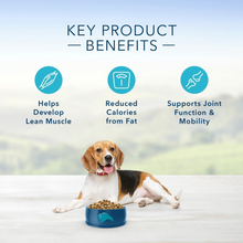 Load image into Gallery viewer, Blue Buffalo Life Protection Formula Healthy Weight Adult Chicken & Brown Rice Recipe Dry Dog Food