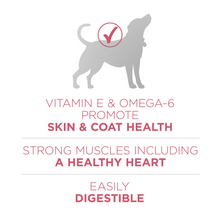 Load image into Gallery viewer, Purina ONE +Plus Skin & Coat Formula Dry Dog Food