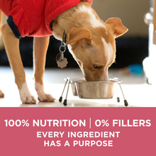 Load image into Gallery viewer, Purina ONE +Plus Skin & Coat Formula Dry Dog Food