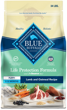 Load image into Gallery viewer, Blue Buffalo Life Protection Formula Puppy Lamb & Oatmeal Recipe Dry Dog Food