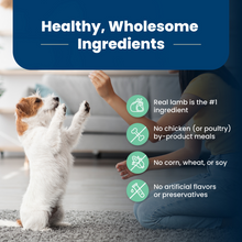 Load image into Gallery viewer, Blue Buffalo Life Protection Formula Puppy Lamb & Oatmeal Recipe Dry Dog Food