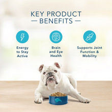 Load image into Gallery viewer, Blue Buffalo Basics Senior Skin & Stomach Care Turkey & Potato Recipe Dry Dog Food