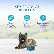 Load image into Gallery viewer, Blue Buffalo Life Protection Formula Healthy Weight Small Breed Adult Chicken & Brown Rice Recipe Dry Dog Food