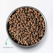 Load image into Gallery viewer, Open Farm Grain Free Catch of the Season Whitefish Recipe Dry Cat Food