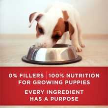 Load image into Gallery viewer, Purina ONE SmartBlend Classic Healthy Puppy Ground Lamb & Long Grain Rice Canned Dog Food