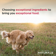 Load image into Gallery viewer, Diamond Naturals Skin & Coat Formula All Life Stages Dry Dog Food