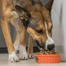 Load image into Gallery viewer, Open Farm Farmers Table Pork Freeze Dried Raw Dog Food