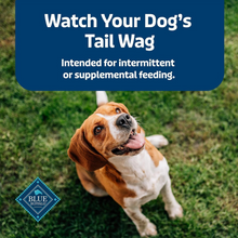 Load image into Gallery viewer, Blue Health Bars Baked With Banana & Yogurt Dog Treats