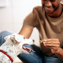 Load image into Gallery viewer, Milk-Bone Flavor Snacks Mini