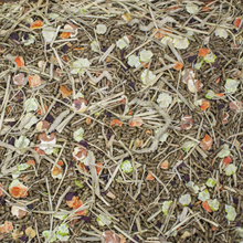 Load image into Gallery viewer, Higgins Vita Garden Guinea Pig Food