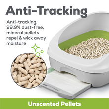 Load image into Gallery viewer, Purina Tidy Cats Breeze Cat Litter Pellets Refill