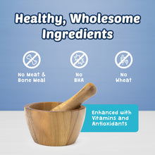 Load image into Gallery viewer, Blue Health Bars Baked With Pumpkin & Cinnamon Dog Treats