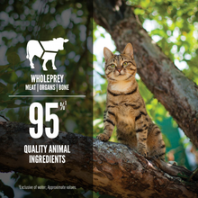 Load image into Gallery viewer, ORIJEN Tuna, Salmon &amp; Beef Entree in Bone Broth Canned Cat Food
