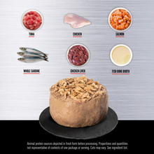 Load image into Gallery viewer, ORIJEN Tuna, Salmon &amp; Beef Entree in Bone Broth Canned Cat Food

