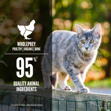 Load image into Gallery viewer, ORIJEN Duck &amp; Chicken Entree in Bone Broth
