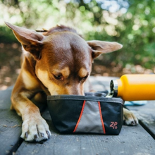Load image into Gallery viewer, ZippyPaws Adventure Bowl For Dogs
