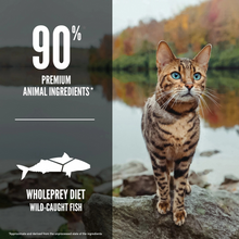 Load image into Gallery viewer, ORIJEN Grain Free Six Fish Dry Cat Food

