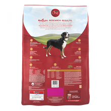 Load image into Gallery viewer, Purina ONE SmartBlend Chicken &amp; Rice Dry Dog Food
