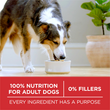 Load image into Gallery viewer, Purina ONE SmartBlend Chicken &amp; Rice Dry Dog Food

