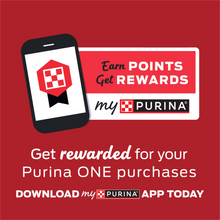 Load image into Gallery viewer, Purina ONE Chicken and Rice Formula Dry Dog Food
