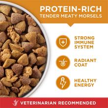 Load image into Gallery viewer, Purina ONE Chicken and Rice Formula Dry Dog Food
