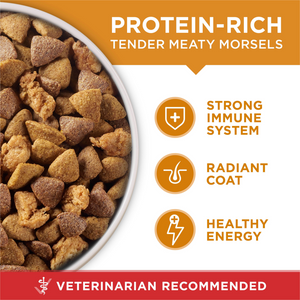 Purina ONE Chicken and Rice Formula Dry Dog Food