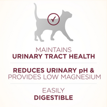 Load image into Gallery viewer, Purina ONE Urinary Tract Health Formula Dry Cat Food
