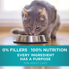 Load image into Gallery viewer, Purina ONE Tender Selects Blend Real Salmon Dry Cat Food
