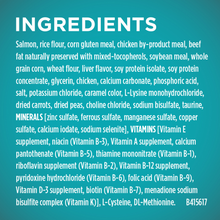 Load image into Gallery viewer, Purina ONE Tender Selects Blend Real Salmon Dry Cat Food
