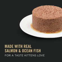 Load image into Gallery viewer, Purina Pro Plan Kitten Classic Salmon &amp; Ocean Fish Entree Canned Cat Food
