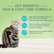 Load image into Gallery viewer, Blue Buffalo True Solutions Perfect Coat Skin &amp; Coat Formula Adult Dry Cat Food
