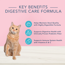 Load image into Gallery viewer, Blue Buffalo True Solutions Blissful Belly Digestive Care Formula Adult Wet Cat Food
