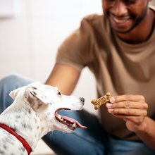 Load image into Gallery viewer, Milk-Bone Flavor Snacks for Small/Medium Dogs
