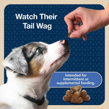 Load image into Gallery viewer, Blue Buffalo Bits Tasty Chicken Natural Soft-Moist Training Treats
