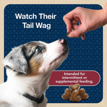 Load image into Gallery viewer, Blue Buffalo Bits Tender Beef Natural Soft Moist Training Dog Treats
