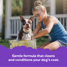 Load image into Gallery viewer, Cloud Star Buddy Wash Original Lavender &amp; Mint Dog Shampoo &amp; Conditioner
