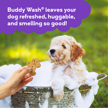 Load image into Gallery viewer, Cloud Star Buddy Wash Original Lavender &amp; Mint Dog Shampoo &amp; Conditioner

