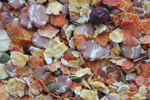 Load image into Gallery viewer, Higgins Sunburst Gourmet Treats Veggie Garden
