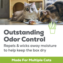 Load image into Gallery viewer, Purina Tidy Cats Breeze Cat Litter Pellets Refill
