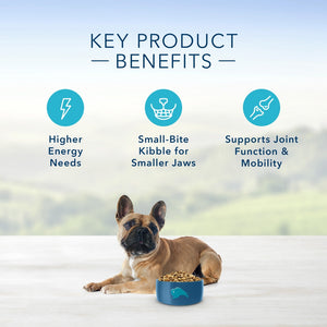 Blue Buffalo Life Protection Formula Small Breed Adult Chicken & Brown Rice Recipe Dry Dog Food