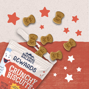 Natural Balance Rewards Crunchy Biscuits With Real Salmon Small Breed  Dog Treats