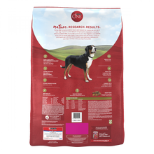 Load image into Gallery viewer, Purina ONE SmartBlend Lamb &amp; Rice Dry Dog Food
