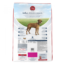 Load image into Gallery viewer, Purina ONE SmartBlend Large Breed Adult Dry Dog Food
