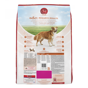 Purina ONE SmartBlend Healthy Weight Turkey Formula Dry Dog Food