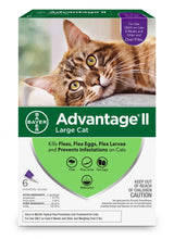 Load image into Gallery viewer, Elanco Advantage II Large Cat

