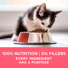 Load image into Gallery viewer, Purina ONE Kitten Growth &amp; Development Dry Cat Food
