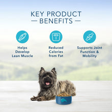 Load image into Gallery viewer, Blue Buffalo Life Protection Formula Healthy Weight Small Breed Adult Chicken &amp; Brown Rice Recipe Dry Dog Food
