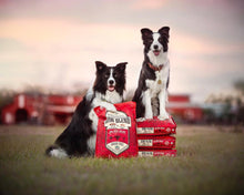 Load image into Gallery viewer, Stella &amp; Chewy&#39;s Raw Blend Kibble Red Meat Recipe Small Breed Dry Dog Food

