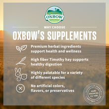 Load image into Gallery viewer, Oxbow Animal Health Natural Science Digestive Support
